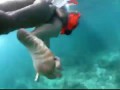 Заснял на видео под водой классную попку - Videotape under water cool ass