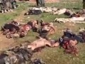 IRAQ - More 50 Terrorists Of ISIS Killed