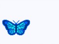 blue-butterfly-links
