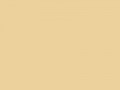 Маисовый	#EDD19C	237	209	156