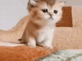 проснулся