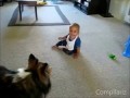 Babies Laughing At Dogs Supercute