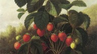 Lacroix, Paul (American, 1831-1869)