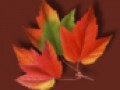 1_2