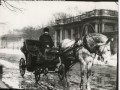 5.Фотограф Карл Булла. Извозчик у Аничкова дворца. Дата