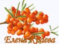sea_buckthorn_PNG24856