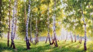 лета