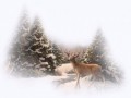 0_f67ac_a8f5902e_orig
