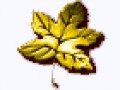 fon_4_3_arnusha