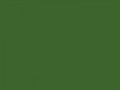 Папоротниково-зеленый	#3D642D	61	100	45