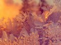 imageANSPCVHY