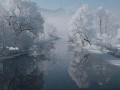 красота-_01