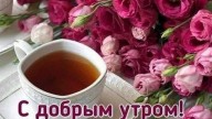 3021635453_cr