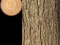 log1