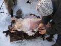 Umna_1.03.09 032