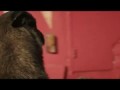 SKRILLEX - Bangarang [Official Music Video]