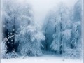 ВЕРХ