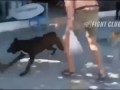 Вали отсюда ,собака сутулая
