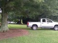 Truck vs. Tree