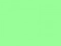 Мята (Цвет зеленой мяты)	#98FF98	152	255	152