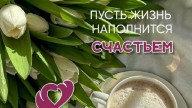 5176e2eaf3e022e18c95bfc6d50e07a4_cr