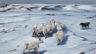 Snow World  Liu Yingzhao.