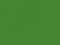 Насыщенный желтовато-зеленый	#478430	71	132	48