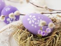 Holidays_Easter_Closeup_Eggs_Nest_Branches_518656_1280x853