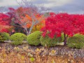 Осенние каникулы в Японии (29.10.14 по 09.11.14)