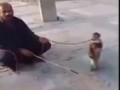 A military trained Monkey - must see
