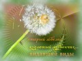 0_8a14b_6d28f150_L