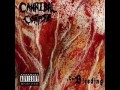 Cannibal Corpse - Stripped, Raped and Strangled (lyrics)