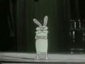 Нарисованный Кролик с MTV