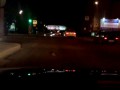 Петербургские водители помогли ежу перейти дорогу на красный
