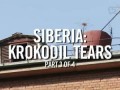Сибирь: Крокодильи слёзы (часть 3)