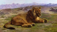 RosaBonheur-Couching-Lion-1872