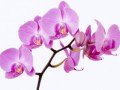 0_fe4da_20201217