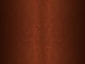 fon_5_3_arnusha