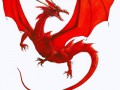 red_chin_dragon
