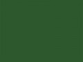 Лиственно-зеленый	#2D572C	45	87	44