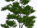 0_dd3fe_a97c71d9_orig.1png