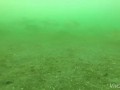 Экстренное всплытие, глубина 5.3 метра
