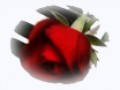 _3_arnusha