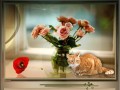 -цветы-и-котик_01