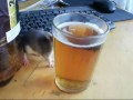 Крыса пьет пиво