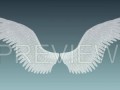 Angel Wings Motion Graphics (7)