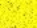 50_5