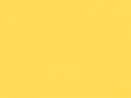 Горчичный	#FFDB58