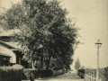 34.Стрельна. Пристанская улица.