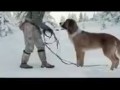 Зов предков